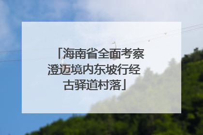 海南省全面考察澄迈境内东坡行经古驿道村落