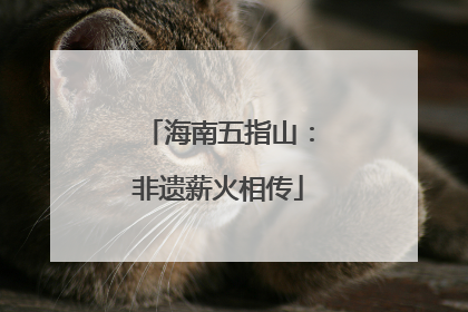 海南五指山：非遗薪火相传