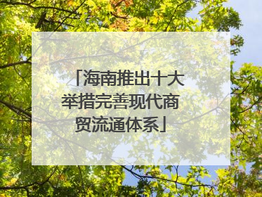 海南推出十大举措完善现代商贸流通体系