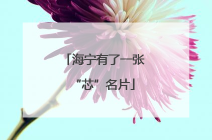 海宁有了一张“芯”名片