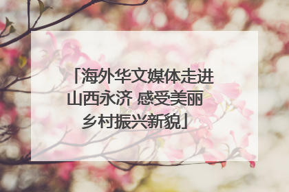 海外华文媒体走进山西永济 感受美丽乡村振兴新貌