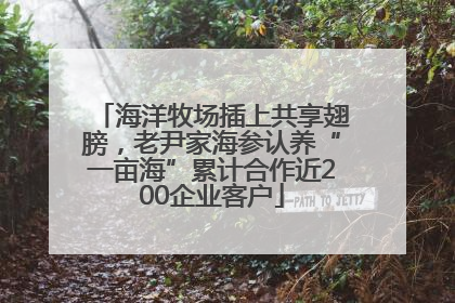 海洋牧场插上共享翅膀，老尹家海参认养“一亩海”累计合作近200企业客户