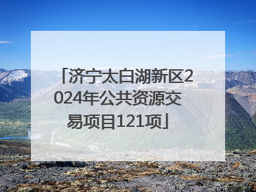济宁太白湖新区2024年公共资源交易项目121项