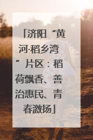 济阳“黄河·稻乡湾”片区：稻荷飘香、善治惠民、青春激扬