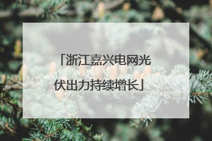 浙江嘉兴电网光伏出力持续增长