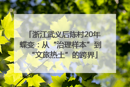 浙江武义后陈村20年蝶变：从“治理样本”到“文旅热土”的跨界