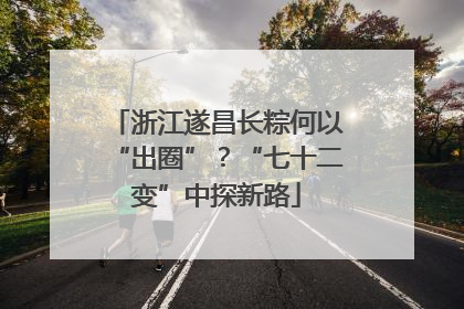 浙江遂昌长粽何以“出圈”？“七十二变”中探新路