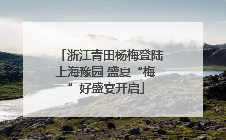 浙江青田杨梅登陆上海豫园 盛夏“梅”好盛宴开启