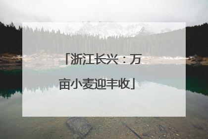 浙江长兴：万亩小麦迎丰收
