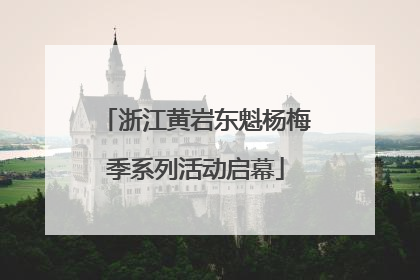 浙江黄岩东魁杨梅季系列活动启幕