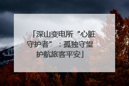深山变电所“心脏守护者”：孤独守望护航旅客平安