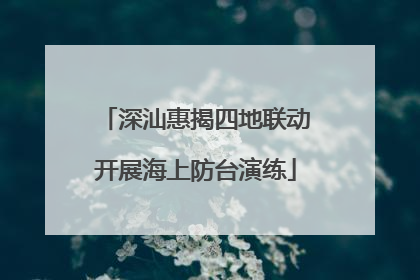 深汕惠揭四地联动开展海上防台演练