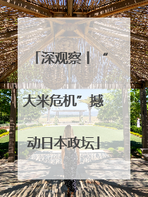 深观察丨“大米危机”撼动日本政坛