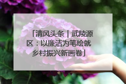 清风头条｜武陵源区：以廉洁为笔绘就乡村振兴新画卷
