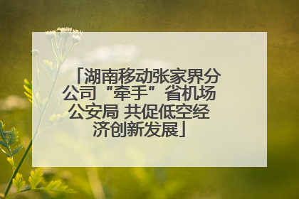湖南移动张家界分公司“牵手”省机场公安局 共促低空经济创新发展