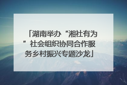 湖南举办“湘社有为”社会组织协同合作服务乡村振兴专题沙龙