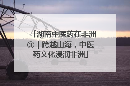 湖南中医药在非洲③｜跨越山海，中医药文化浸润非洲