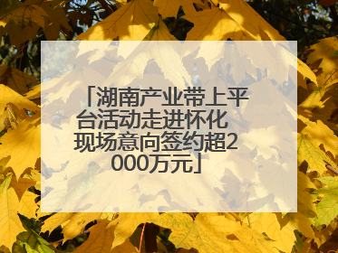 湖南产业带上平台活动走进怀化 现场意向签约超2000万元
