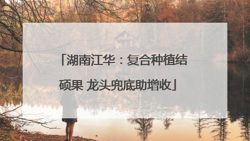 湖南江华：复合种植结硕果 龙头兜底助增收