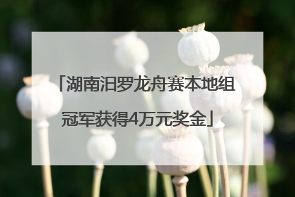 湖南汨罗龙舟赛本地组冠军获得4万元奖金
