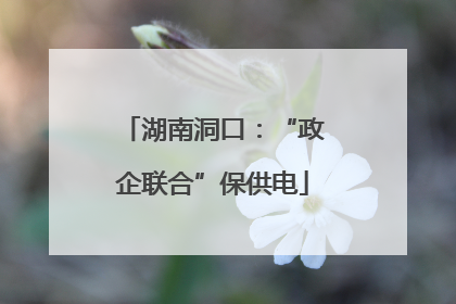 湖南洞口：“政企联合”保供电