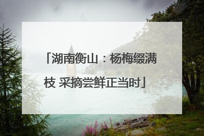湖南衡山：杨梅缀满枝 采摘尝鲜正当时