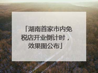 湖南首家市内免税店开业倒计时，效果图公布