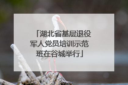 湖北省基层退役军人党员培训示范班在谷城举行