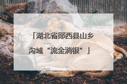 湖北省郧西县山乡沟域“流金淌银”