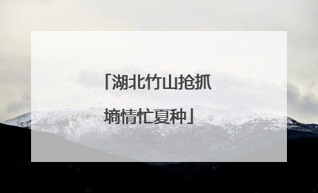 湖北竹山抢抓墒情忙夏种
