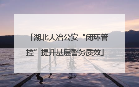 湖北大冶公安“闭环管控”提升基层警务质效