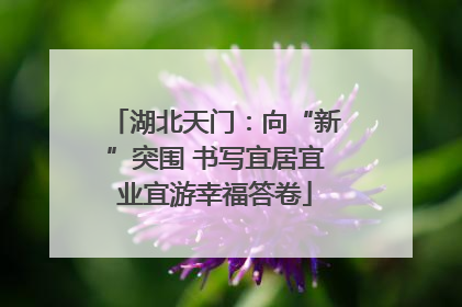 湖北天门：向“新”突围 书写宜居宜业宜游幸福答卷