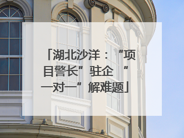 湖北沙洋：“项目警长”驻企 “一对一”解难题