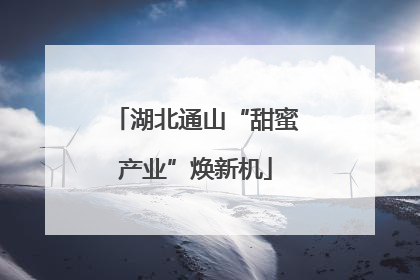 湖北通山“甜蜜产业”焕新机