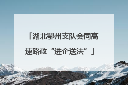 湖北鄂州支队会同高速路政“进企送法”
