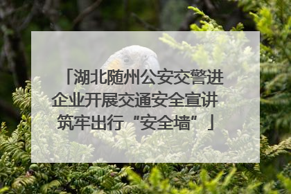 湖北随州公安交警进企业开展交通安全宣讲筑牢出行“安全墙”