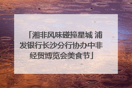 湘非风味碰撞星城 浦发银行长沙分行协办中非经贸博览会美食节
