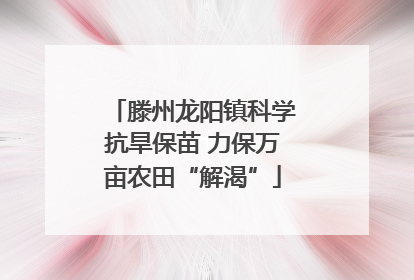 滕州龙阳镇科学抗旱保苗 力保万亩农田“解渴”