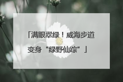 满眼翠绿！威海步道变身“绿野仙踪”