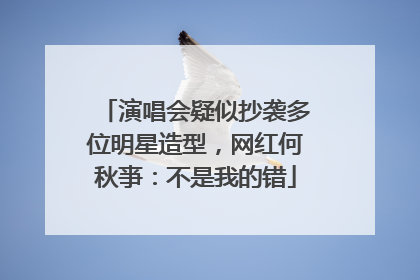 演唱会疑似抄袭多位明星造型，网红何秋亊：不是我的错
