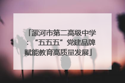 漯河市第二高级中学：“五五五”党建品牌赋能教育高质量发展
