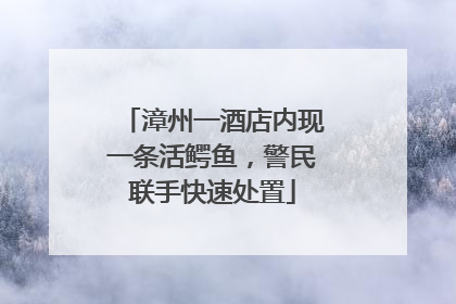 漳州一酒店内现一条活鳄鱼，警民联手快速处置