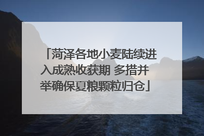 菏泽各地小麦陆续进入成熟收获期 多措并举确保夏粮颗粒归仓