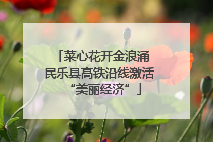 菜心花开金浪涌 民乐县高铁沿线激活“美丽经济”