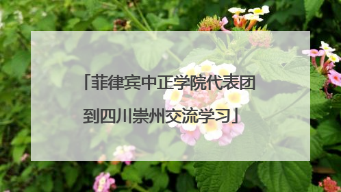 菲律宾中正学院代表团到四川崇州交流学习