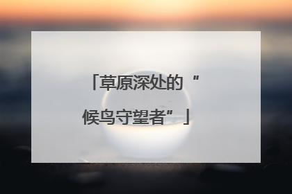 草原深处的“候鸟守望者”
