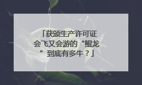 获颁生产许可证 会飞又会游的“鲲龙”到底有多牛？