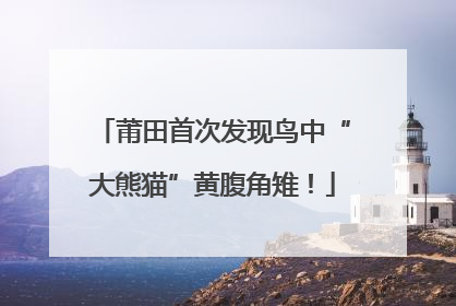 莆田首次发现鸟中“大熊猫”黄腹角雉！