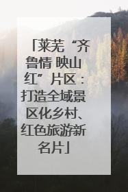 莱芜“齐鲁情 映山红”片区：打造全域景区化乡村、红色旅游新名片