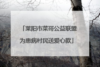 莱阳市菜哥公益联盟为患病村民送爱心款